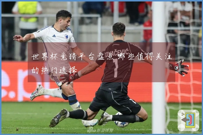 世界杯竞猜平台盘点 哪些值得关注的热门选择