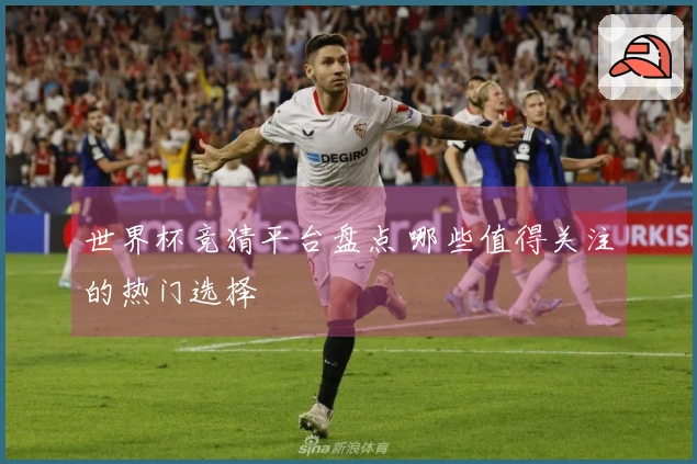 世界杯竞猜平台盘点 哪些值得关注的热门选择