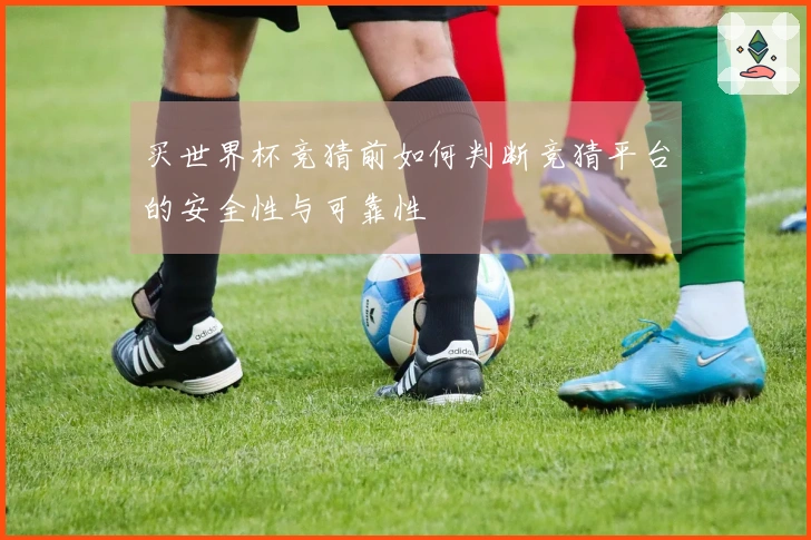 买世界杯竞猜前如何判断竞猜平台的安全性与可靠性